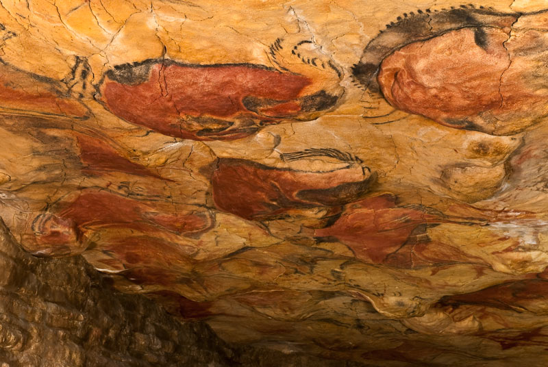 Altamira cueva. Vista_general_del_techo_de_polícromos